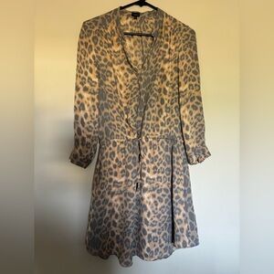 Aritzia Animal Print 100% Silk Dress